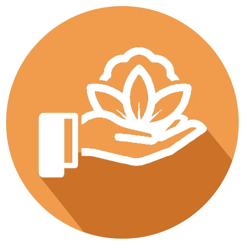 organizations-icon-01 Growth Icon